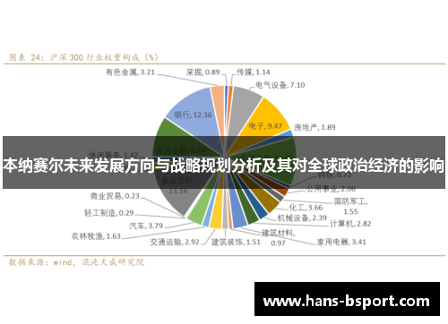 本纳赛尔未来发展方向与战略规划分析及其对全球政治经济的影响