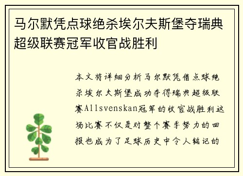 马尔默凭点球绝杀埃尔夫斯堡夺瑞典超级联赛冠军收官战胜利